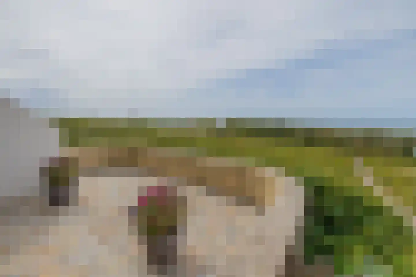 Strandwijck 2 Noordwijk thumbnail 21
