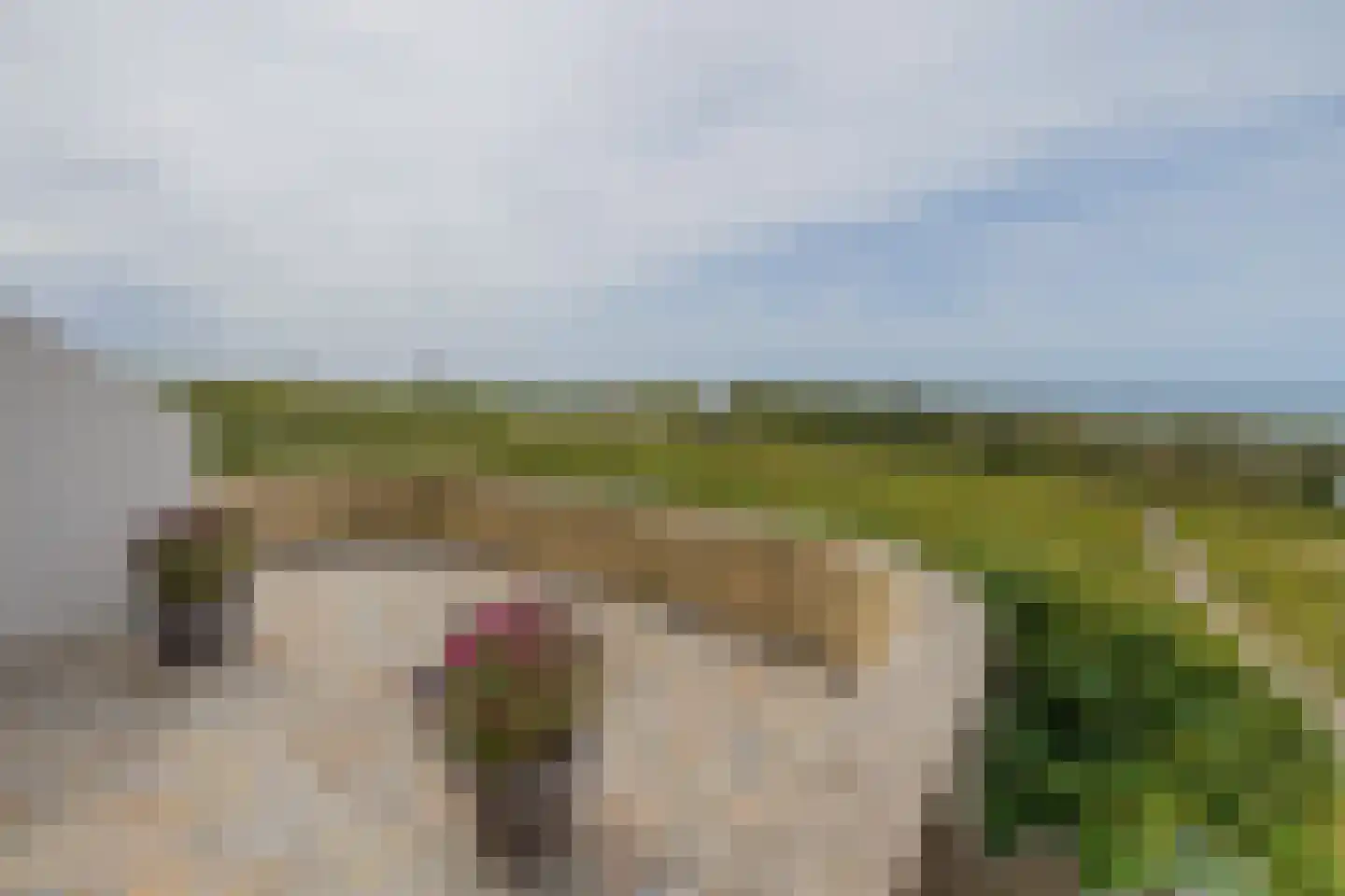 Strandwijck 2 Noordwijk thumbnail 21