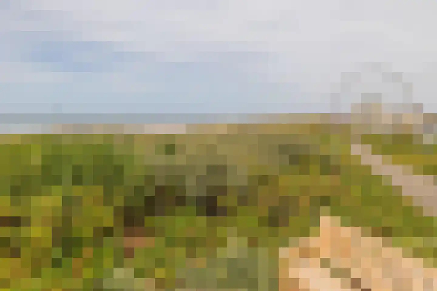 Strandwijck 2 Noordwijk thumbnail 26