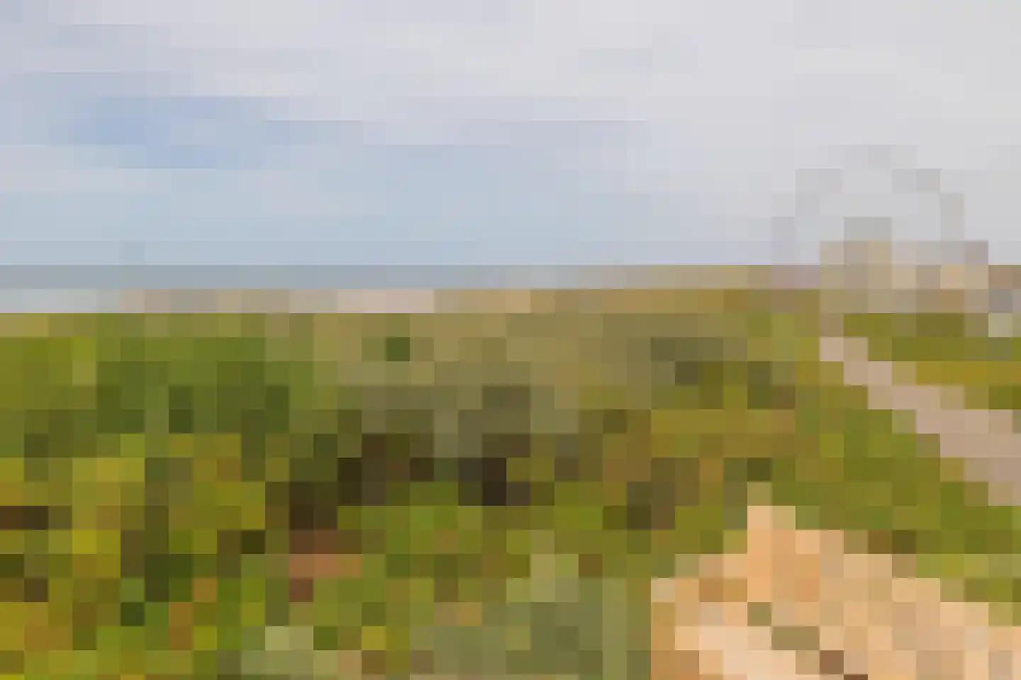 Strandwijck 2 Noordwijk thumbnail 26