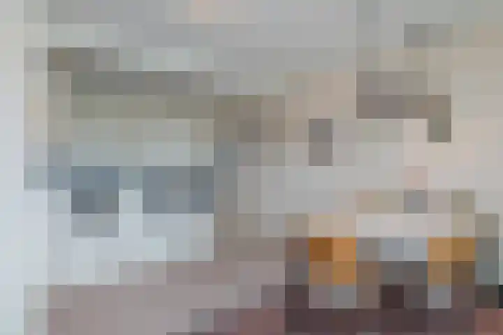 Strandwijck 5 Noordwijk thumbnail 12