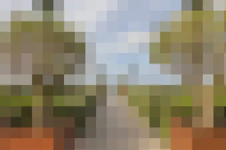 Strandwijck 5 Noordwijk thumbnail 35