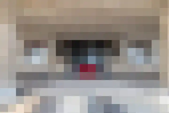 Strandwijck 5 Noordwijk thumbnail 36