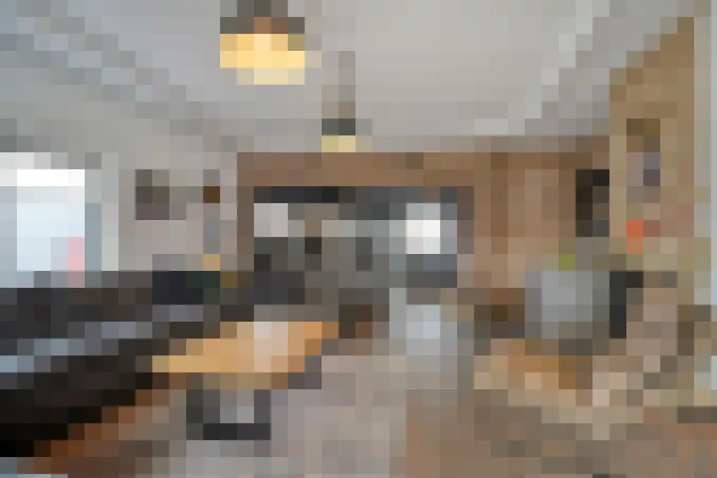 Strangeweg 5 Ommen thumbnail 13