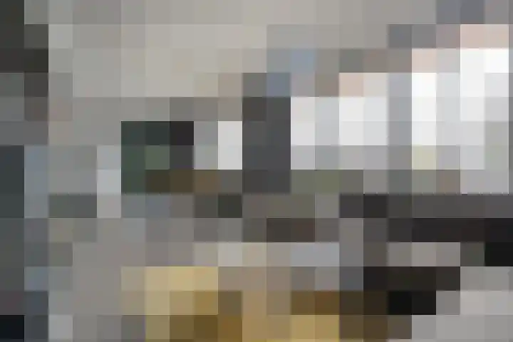 Strangeweg 5 Ommen thumbnail 14