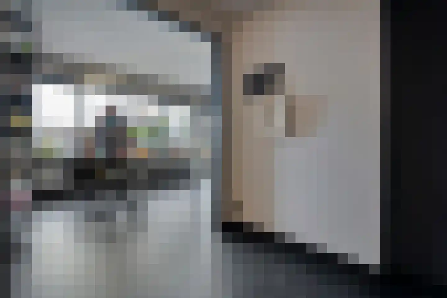 Strangeweg 5 Ommen thumbnail 17