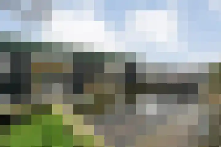Strangeweg 5 Ommen thumbnail 30