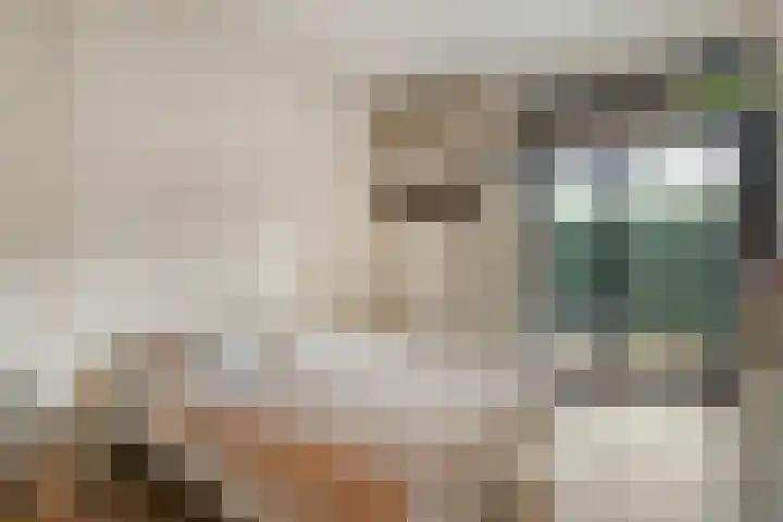Strangeweg 5 Ommen thumbnail 38