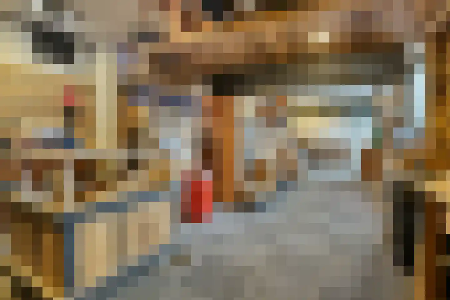 Strangeweg 5 Ommen thumbnail 46