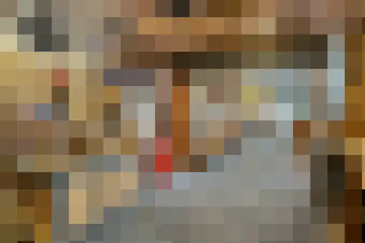 Strangeweg 5 Ommen thumbnail 46