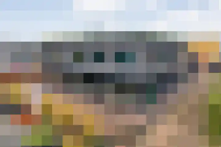 Strangeweg 5 Ommen thumbnail 57