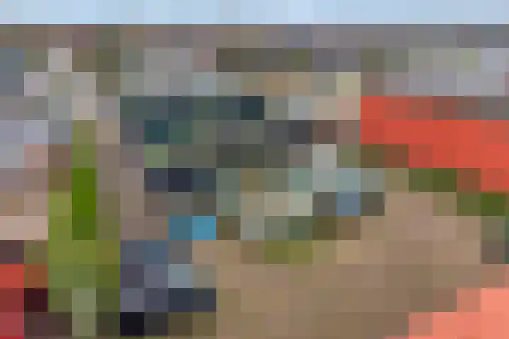 Strangeweg 5 Ommen thumbnail 62