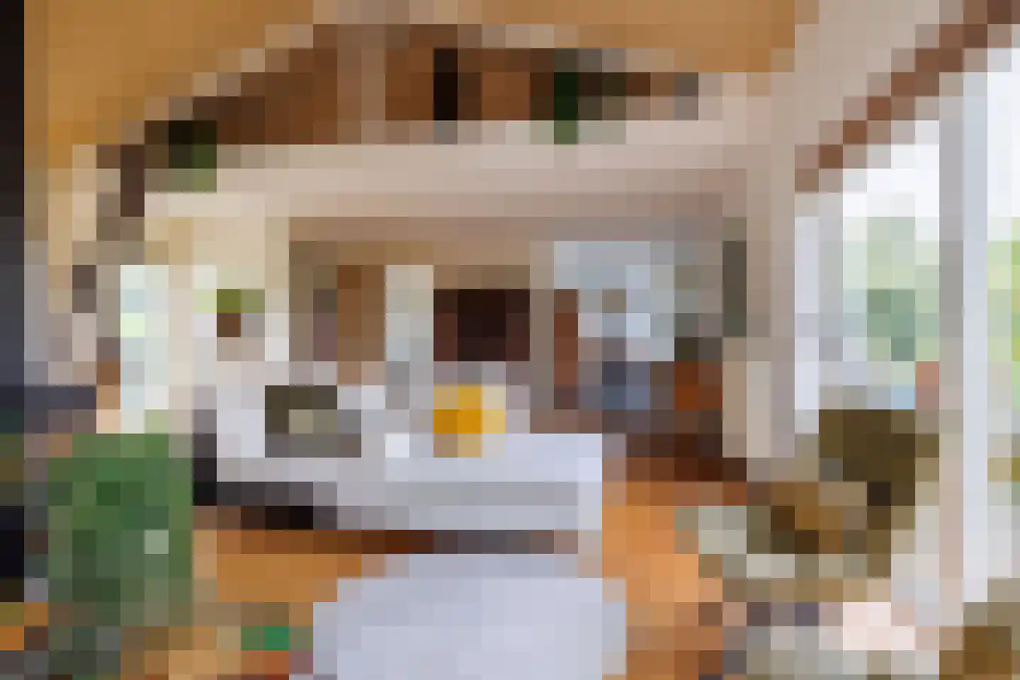 Strangkade 24 Beneden-Leeuwen thumbnail 15