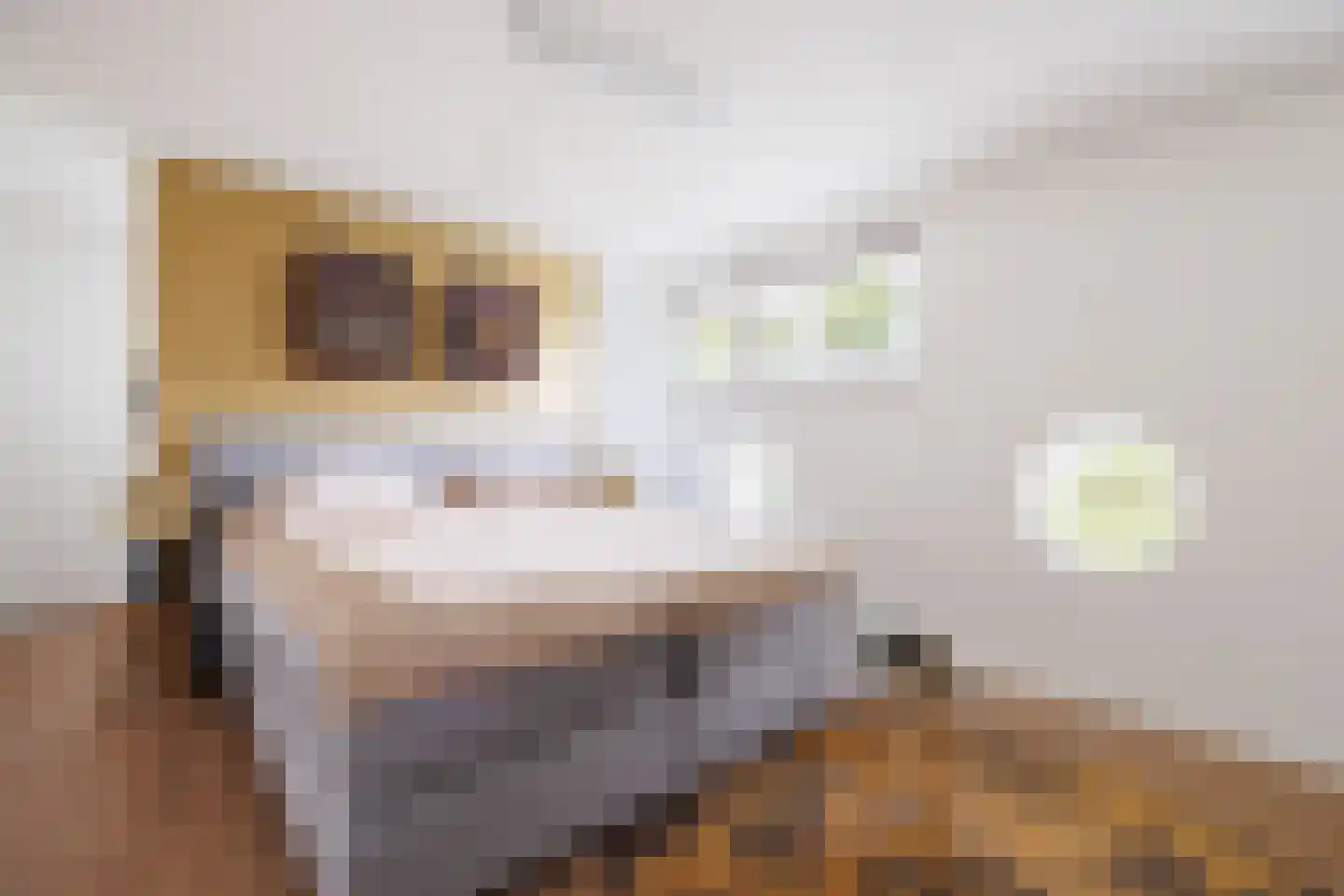 Strangkade 24 Beneden-Leeuwen thumbnail 27