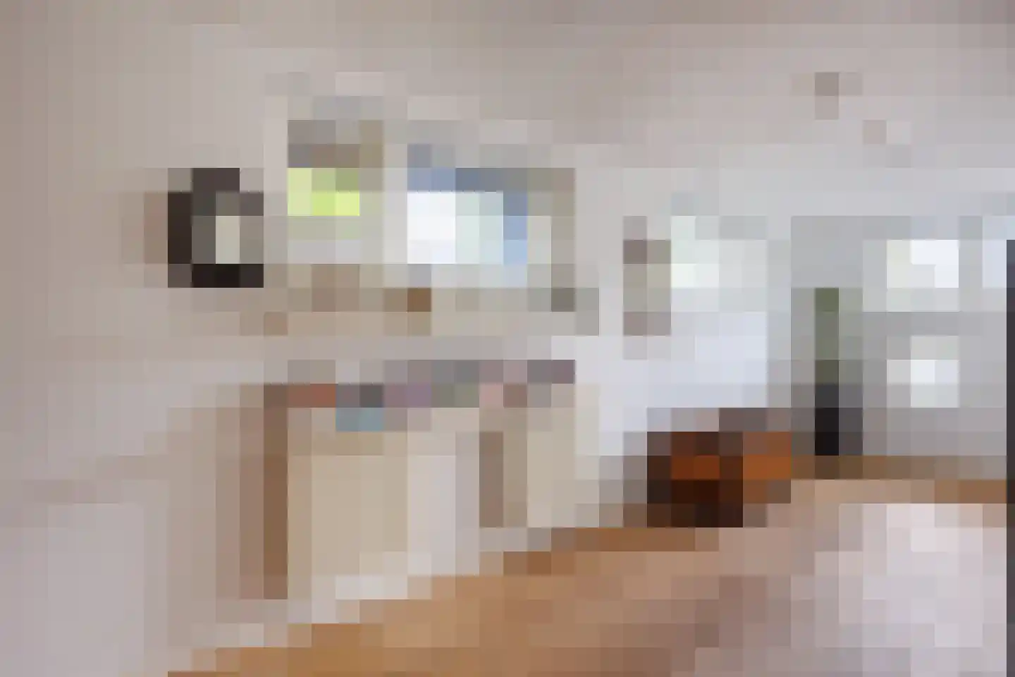 Strangkade 24 Beneden-Leeuwen thumbnail 29