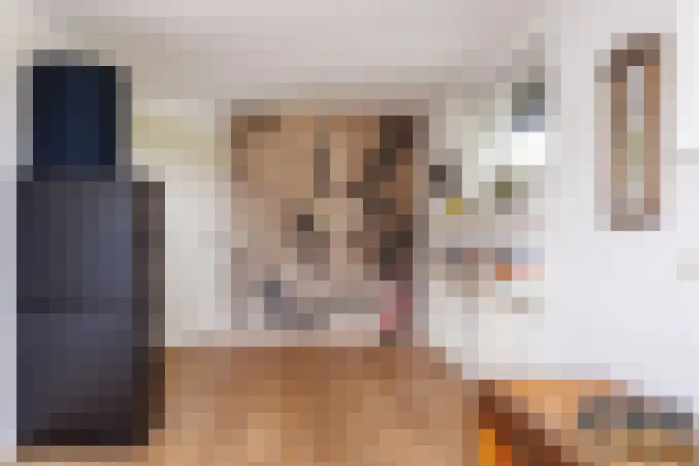 Strangkade 24 Beneden-Leeuwen thumbnail 30