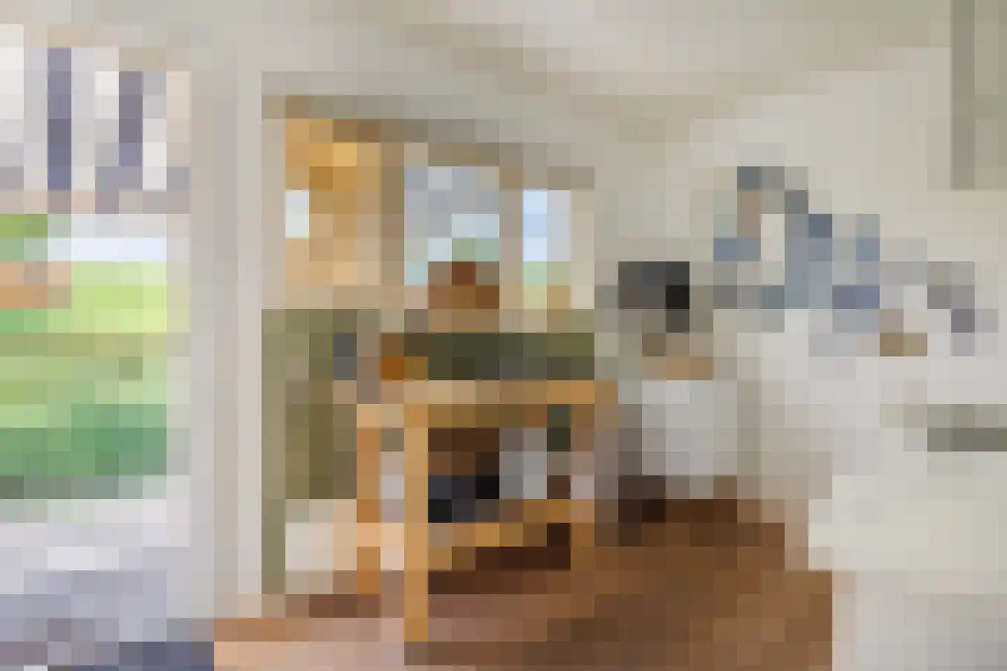 Strangkade 24 Beneden-Leeuwen thumbnail 52