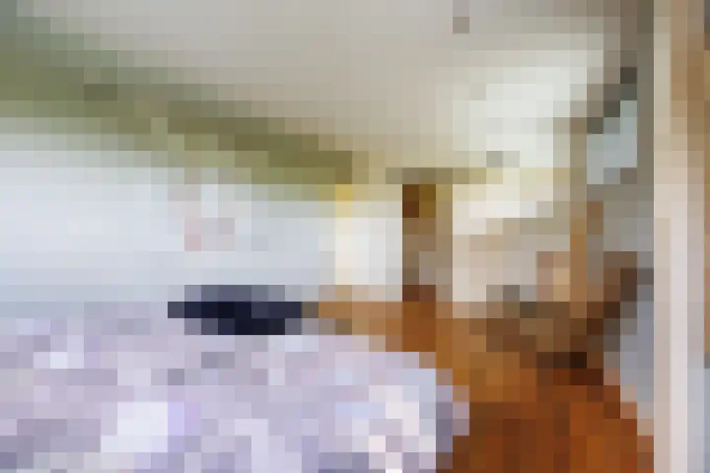 Strangkade 24 Beneden-Leeuwen thumbnail 60
