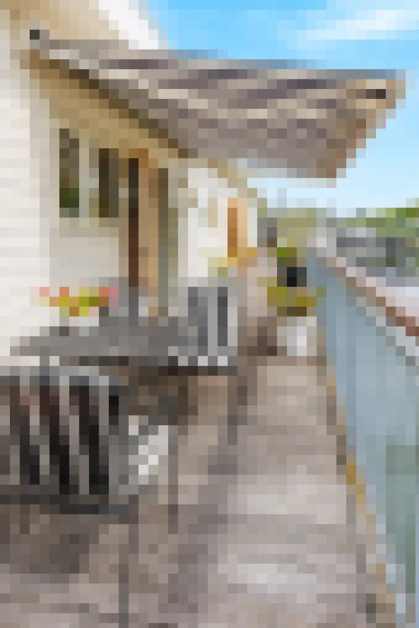 Strangkade 24 Beneden-Leeuwen thumbnail 70