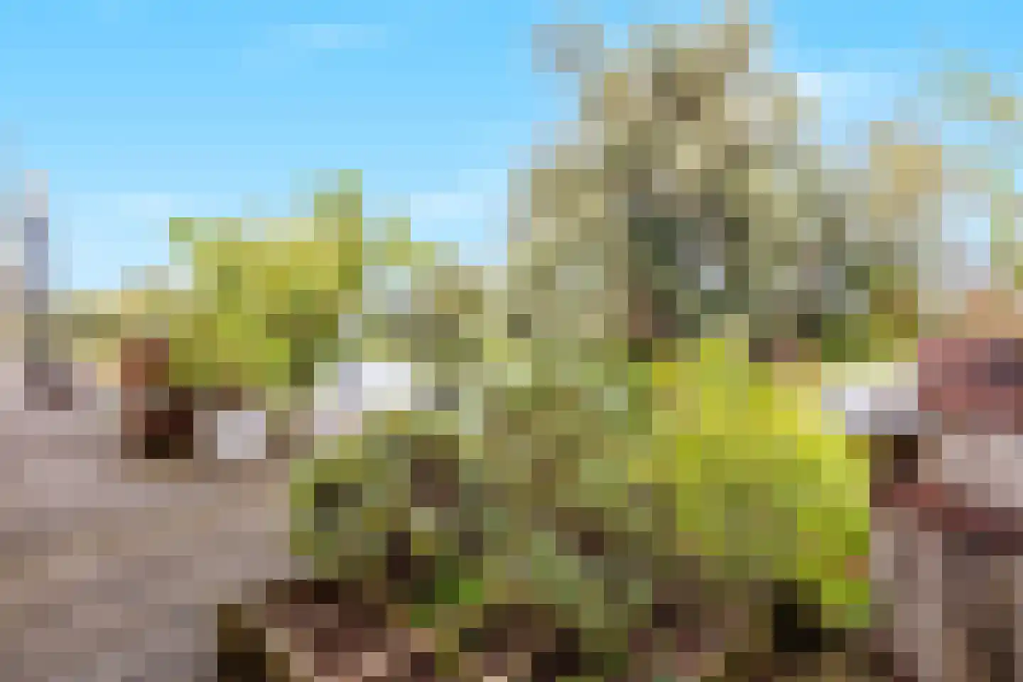Strangkade 24 Beneden-Leeuwen thumbnail 71