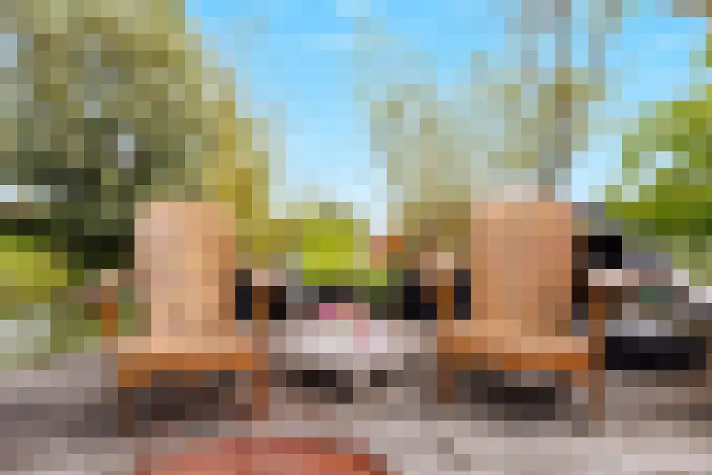 Strangkade 24 Beneden-Leeuwen thumbnail 74