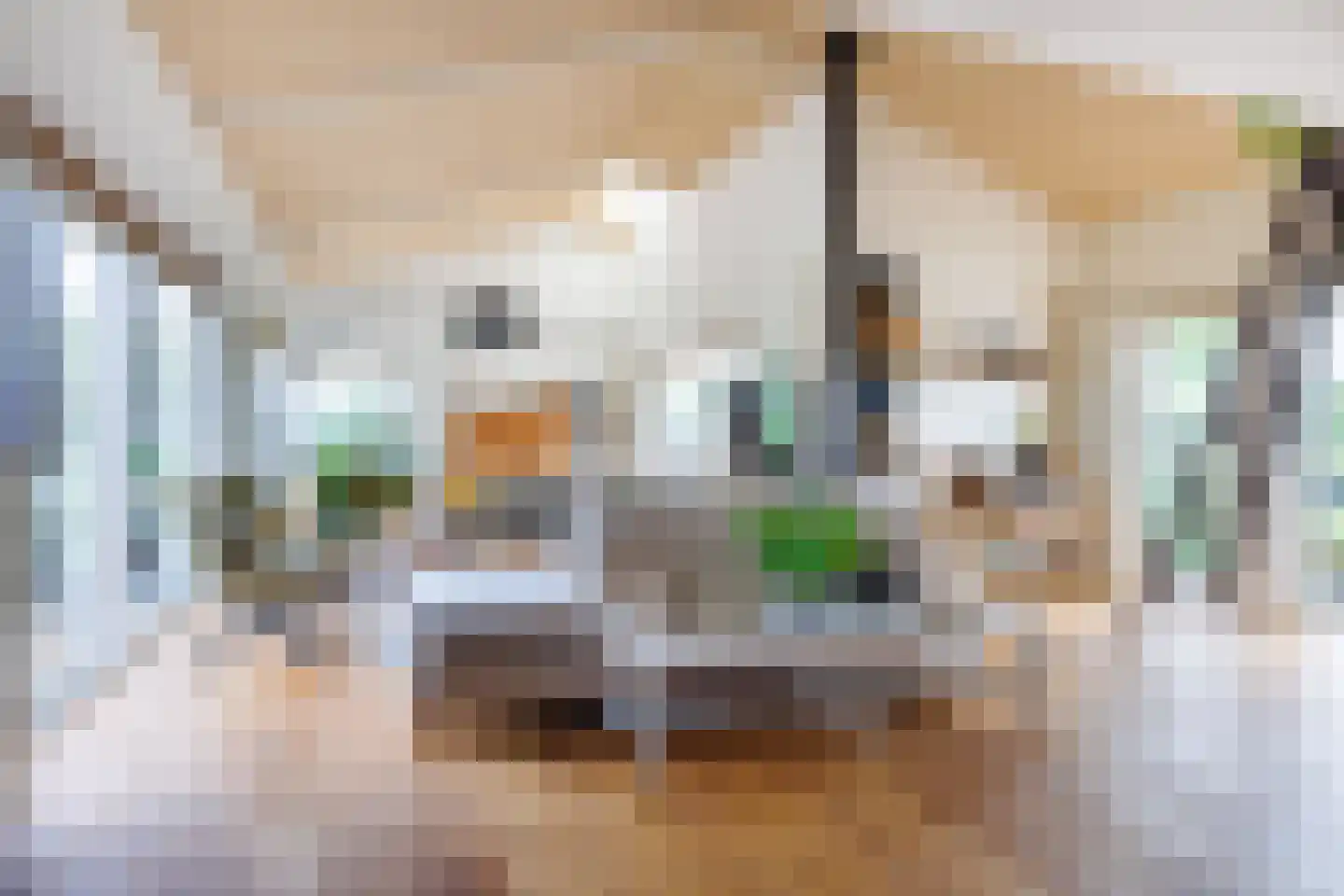 Strangkade 24 Beneden-Leeuwen thumbnail 8