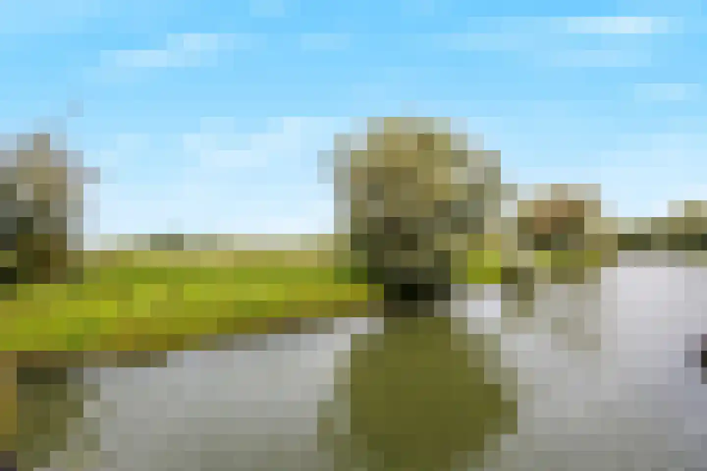 Strangkade 24 Beneden-Leeuwen thumbnail 80