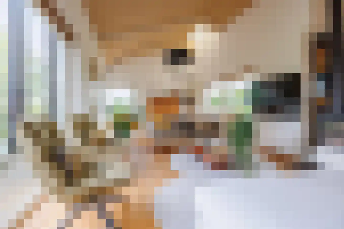 Strangkade 24 Beneden-Leeuwen thumbnail 9