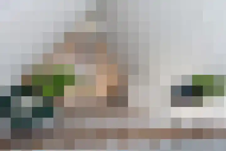Strangkwartier 15 Emmen thumbnail 26