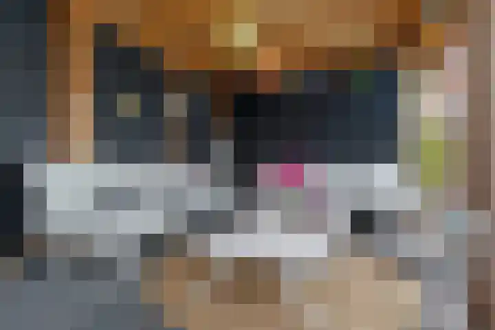 Strangkwartier 15 Emmen thumbnail 28