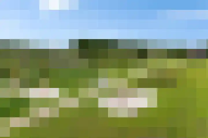 Strangkwartier 15 Emmen thumbnail 41