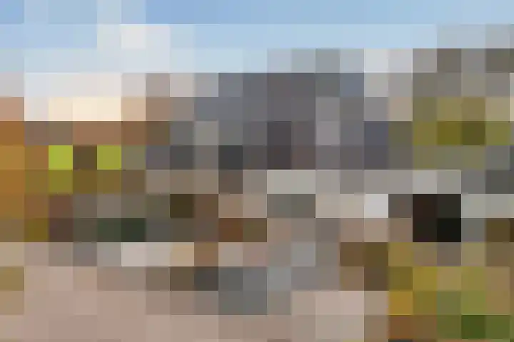 Strânljip 40 Dronryp