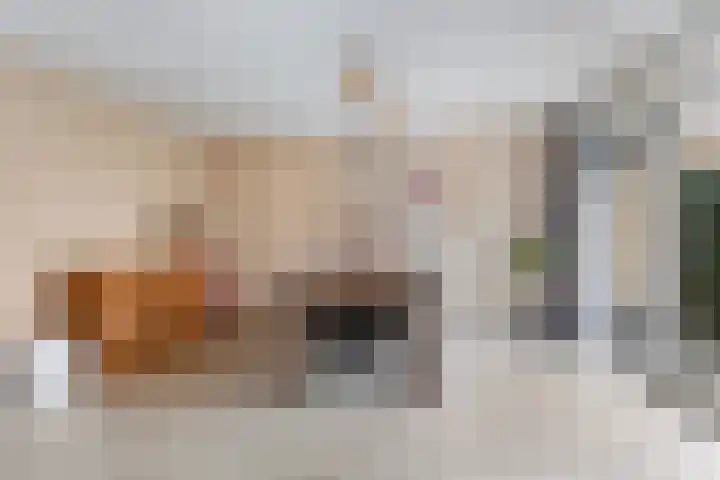 Strânljip 40 Dronryp thumbnail 14