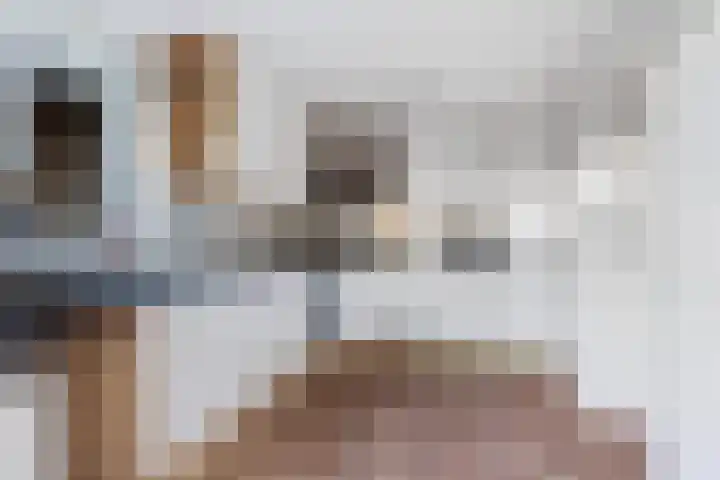 Strânljip 40 Dronryp thumbnail 17
