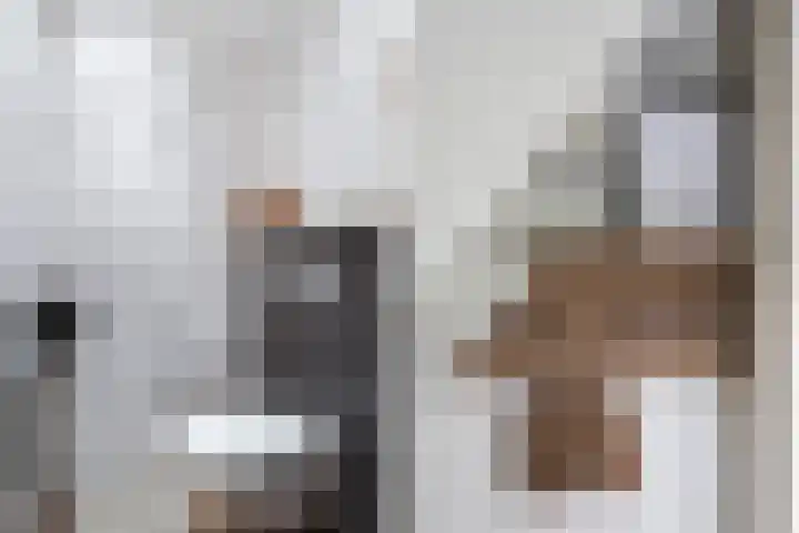Strânljip 40 Dronryp thumbnail 21