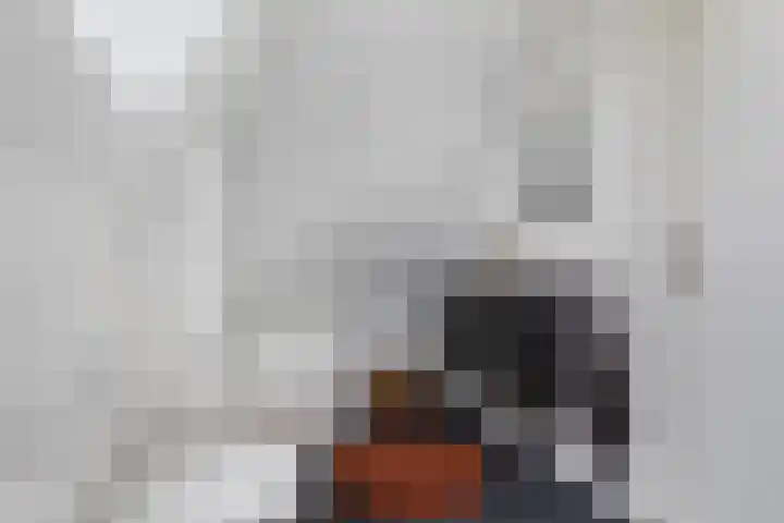 Strânljip 40 Dronryp thumbnail 29