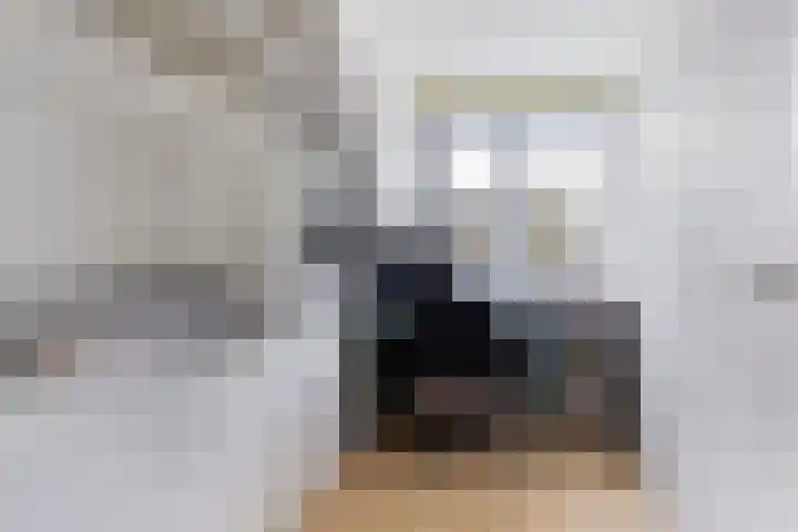 Strânljip 40 Dronryp thumbnail 33