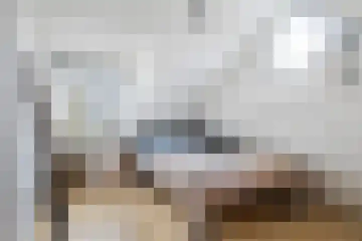 Strânljip 40 Dronryp thumbnail 34