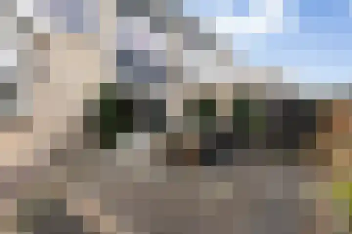 Strânljip 40 Dronryp thumbnail 37