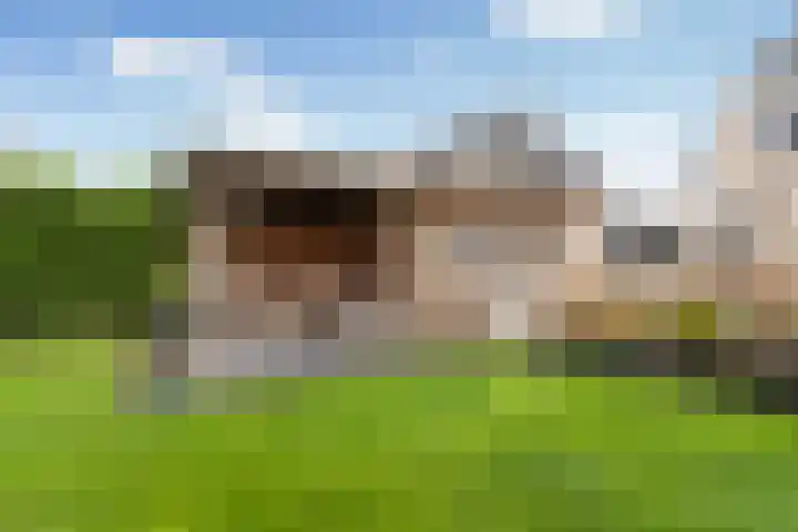 Strânljip 40 Dronryp thumbnail 38