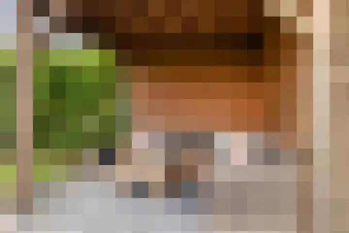 Strânljip 40 Dronryp thumbnail 39