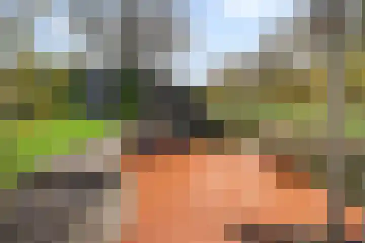 Strânljip 40 Dronryp thumbnail 4