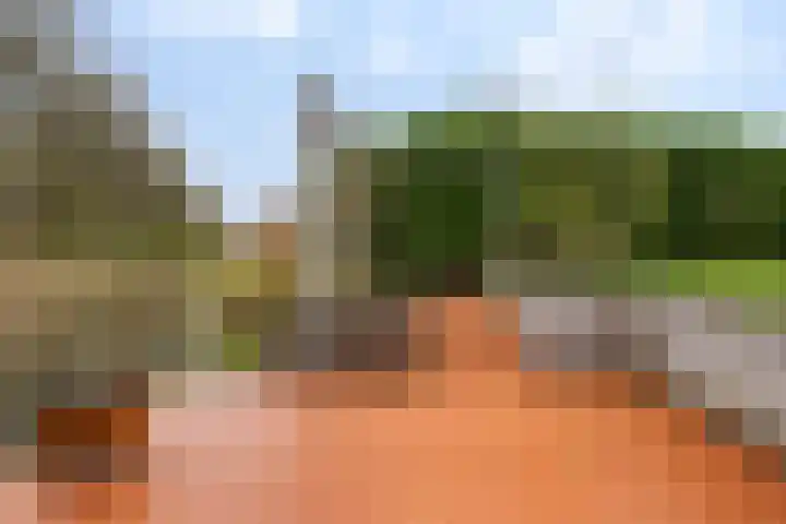 Strânljip 40 Dronryp thumbnail 41