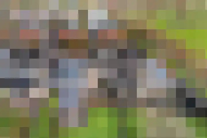 Strânljip 40 Dronryp thumbnail 45