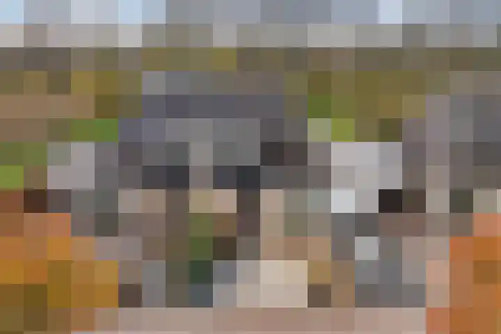 Strânljip 40 Dronryp thumbnail 46