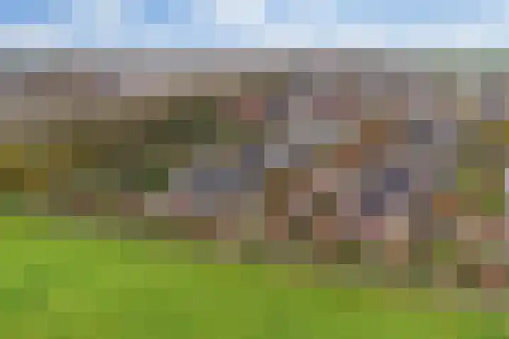 Strânljip 40 Dronryp thumbnail 5