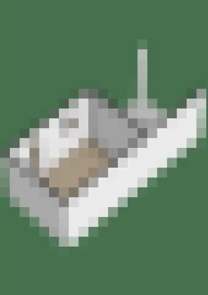 Strânljip 40 Dronryp thumbnail 55