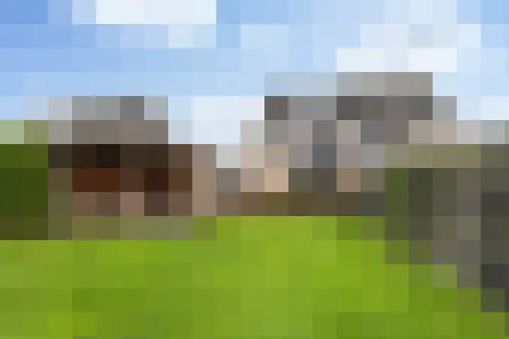 Strânljip 40 Dronryp thumbnail 7
