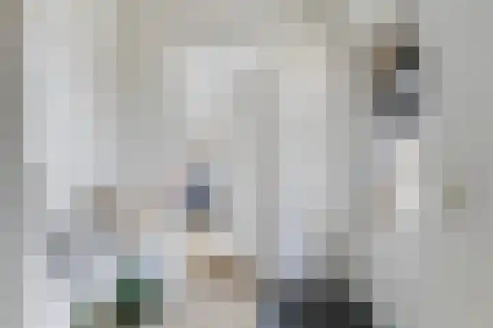 Strânljip 40 Dronryp thumbnail 9