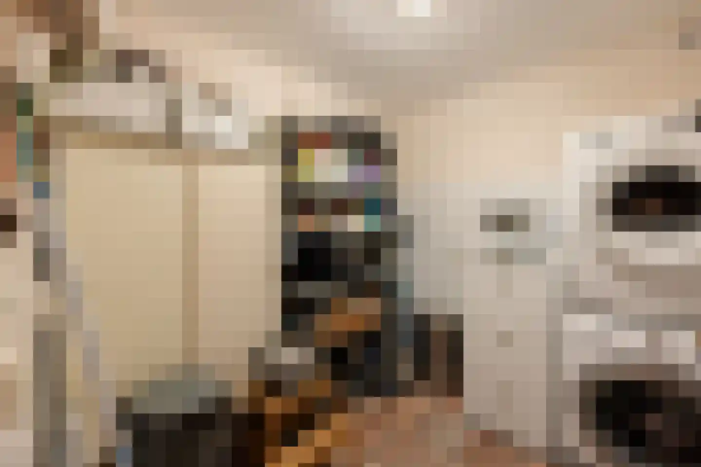Strânwei 27 Makkum thumbnail 35
